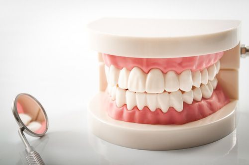 Model Of Teeth And A Dental Mirror — Dentist On Tweed in Tweed Heads, NSW