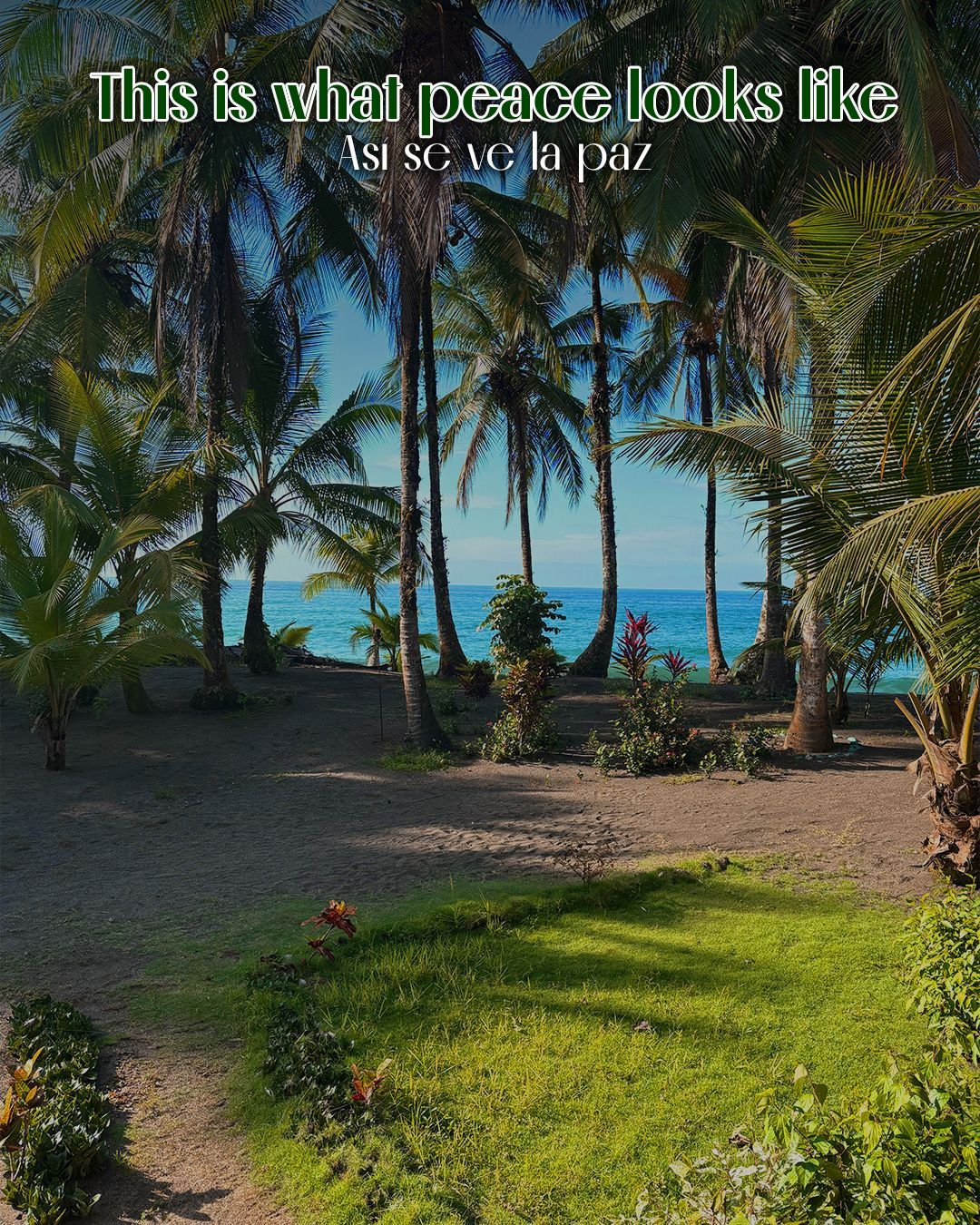 Escena de playa con palmeras, océano azul y césped verde. Luz solar y sombras.