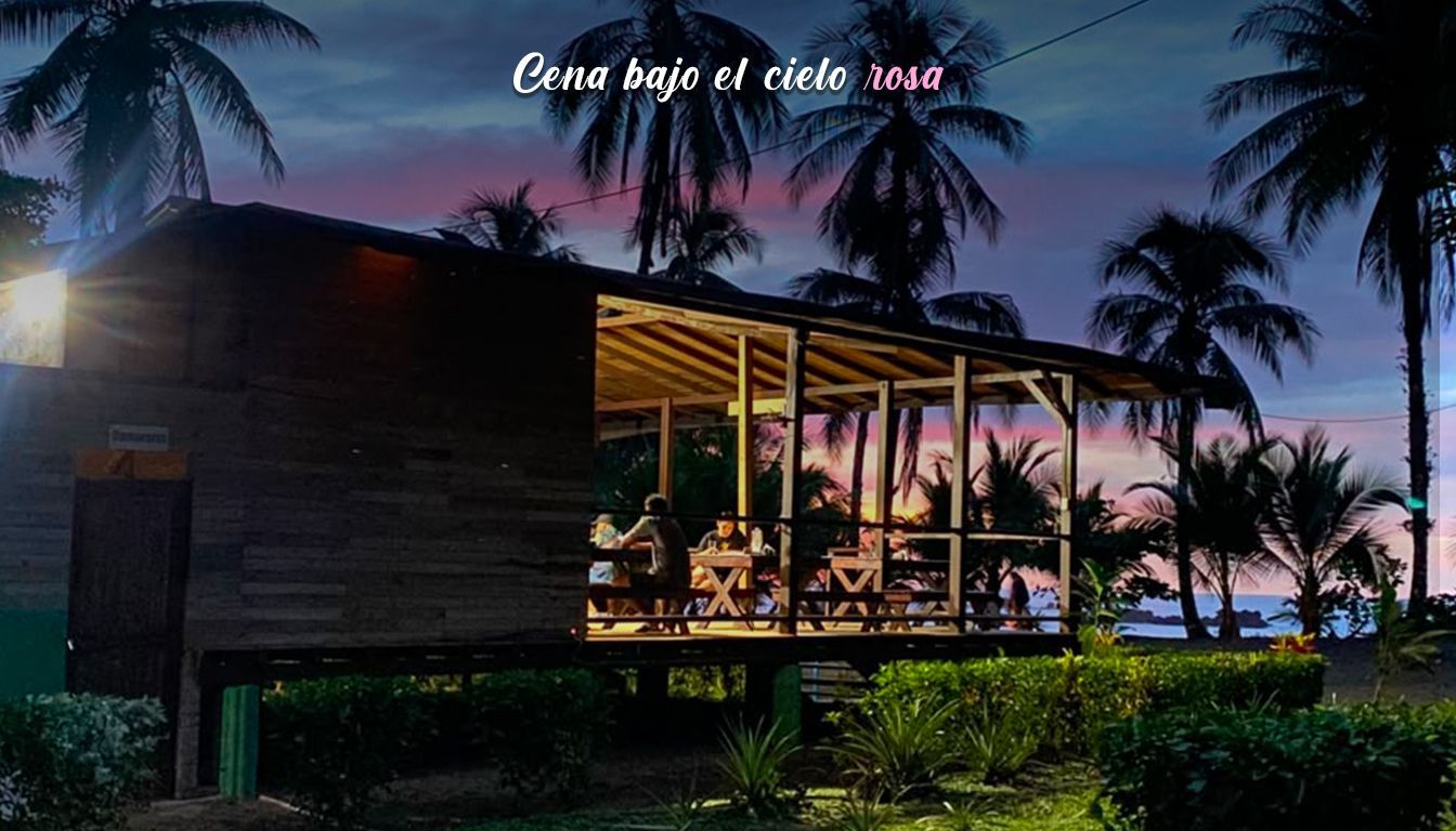 Palmeras recortadas contra una colorida puesta de sol sobre el océano.