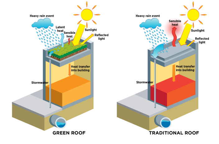 A diagram of a green roof and a traditional roof