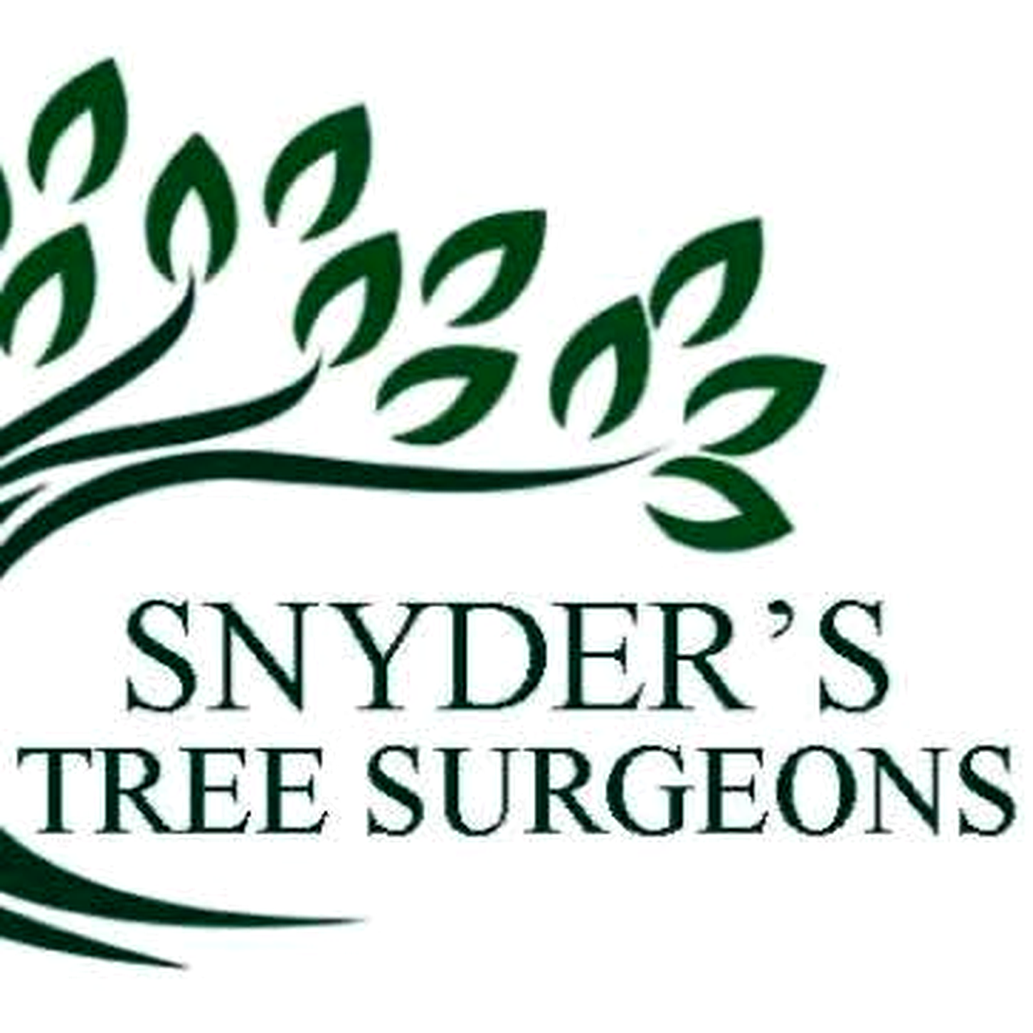 Snyder & Sons Tree Surgeons Snyder & Sons Tree Surgeons