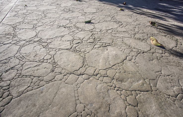 Cracked gray concrete pavement with interconnected circular patterns.