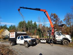 Stump Grinding