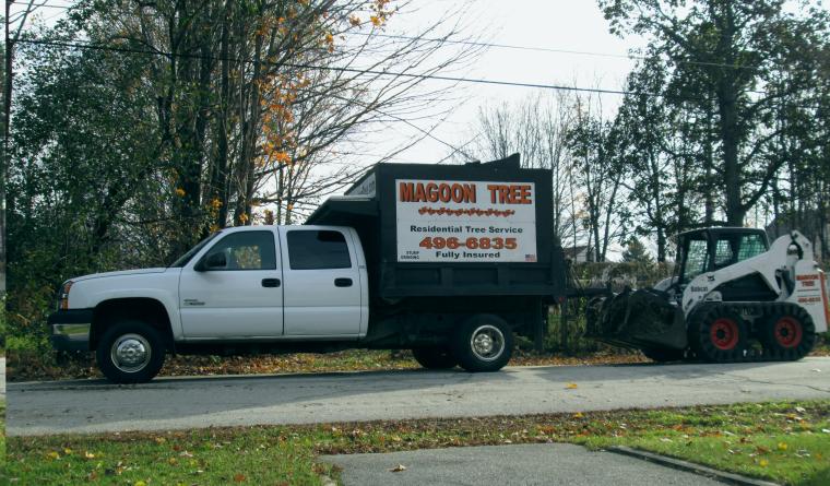 Tree Removal services 26