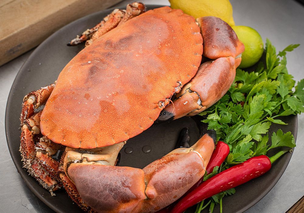 Cooked crab on a dark plate, garnished with herbs, chilies, and citrus fruits.