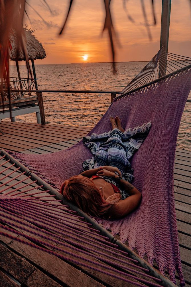 Person relaxing in a purple hammock at sunset by the beach, holding a dog with the ocean behind.