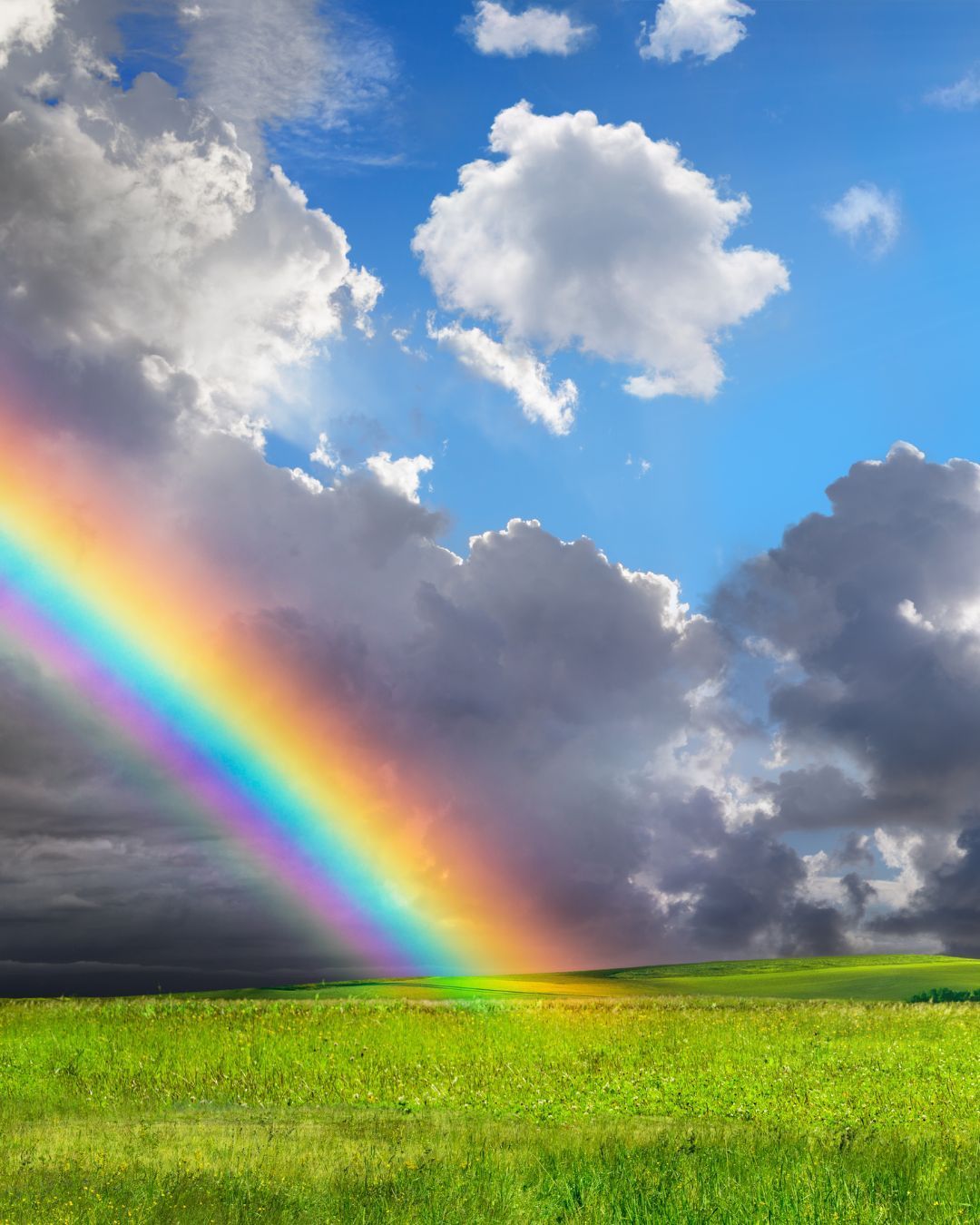 Rainbow and blue ski