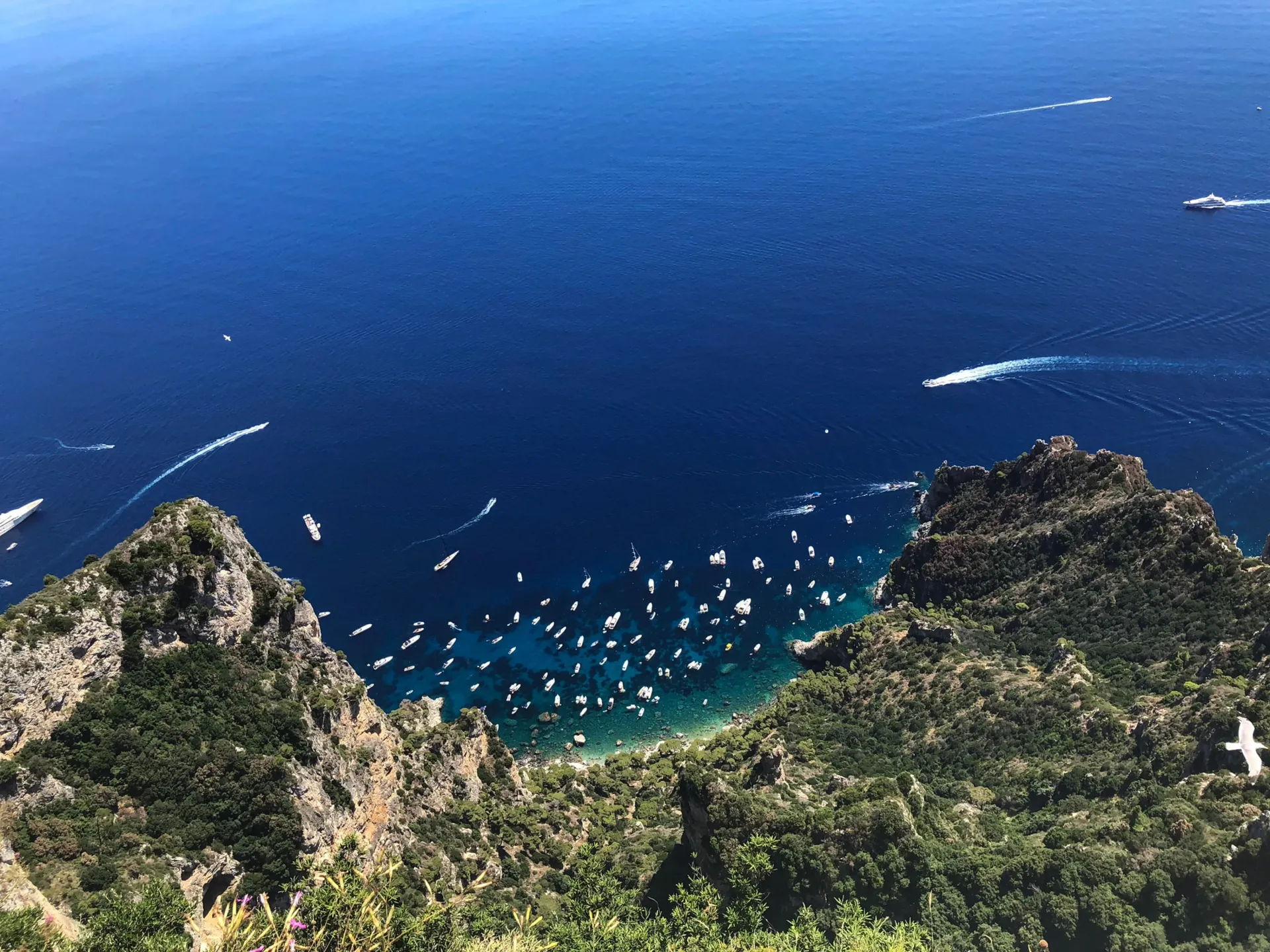 Amalfi Coast Boat Tours