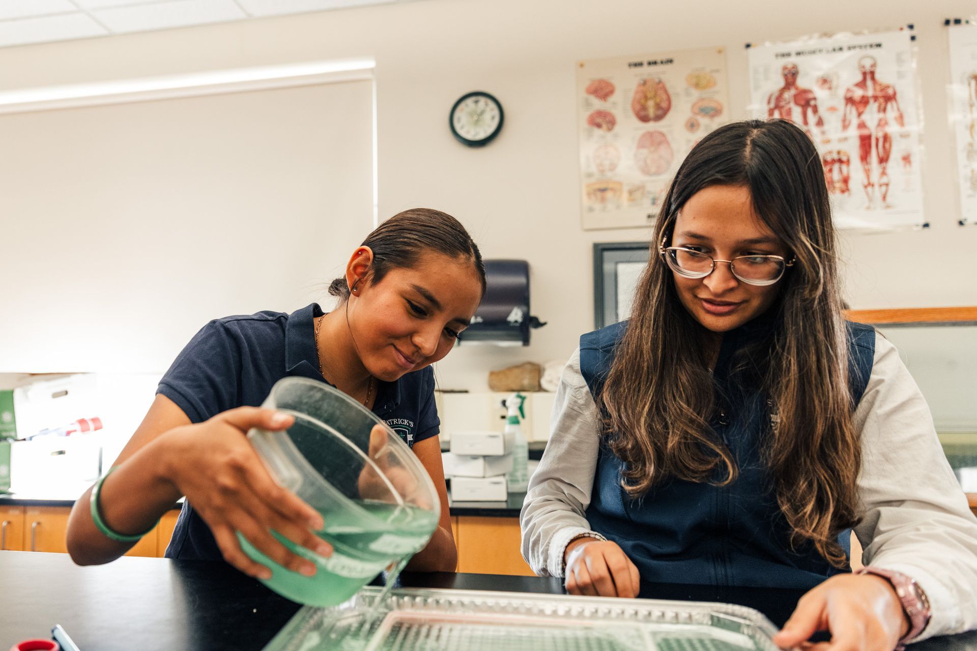 Science Lab Activity