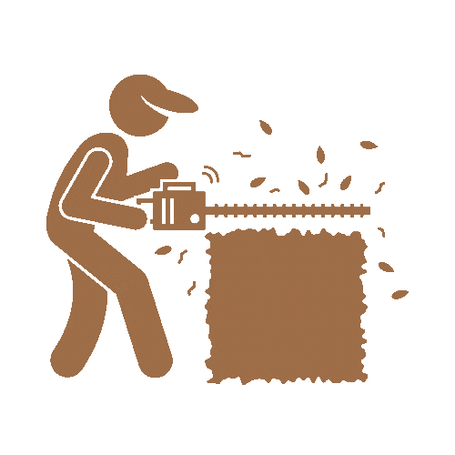 tree-service-wallingford-connecticut