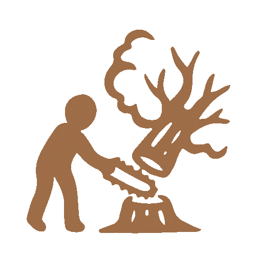 tree-service-wallingford-connecticut