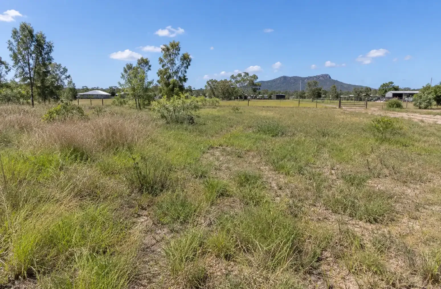Photo of a vacant block before slashing in Townsville.
