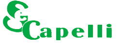 logo serramenti capelli