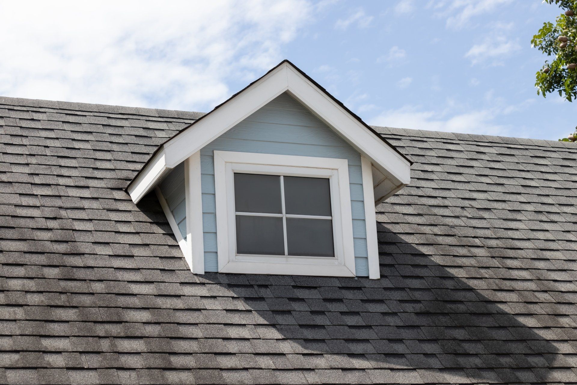 shingle granules shedding off roof