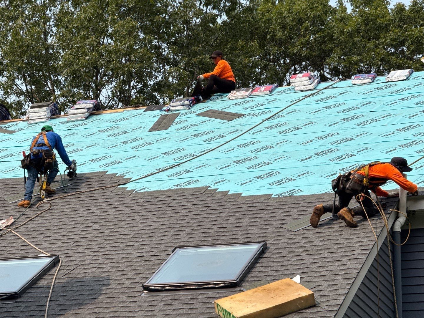 Roofers working on a house roof. One using a nail gun, two others positioning shingles. Blue underlayment visible.
