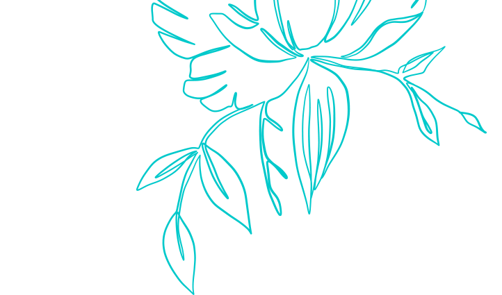 A drawing of a flower with leaves on a white background.