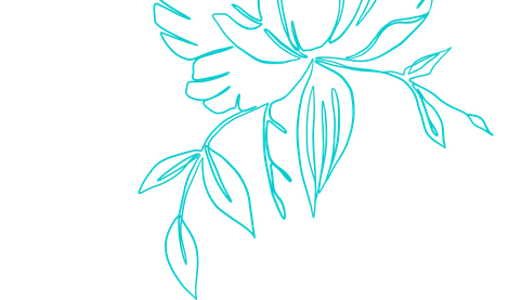 A drawing of a flower with leaves on a white background.