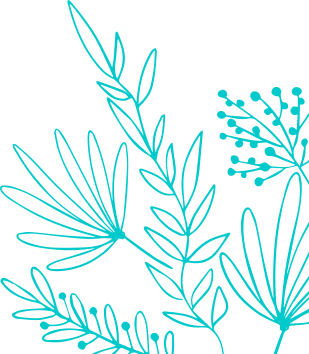 A drawing of leaves and branches on a white background