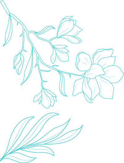 A drawing of a branch with flowers and leaves on a white background.