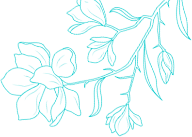 A drawing of a branch with flowers and leaves on a white background.