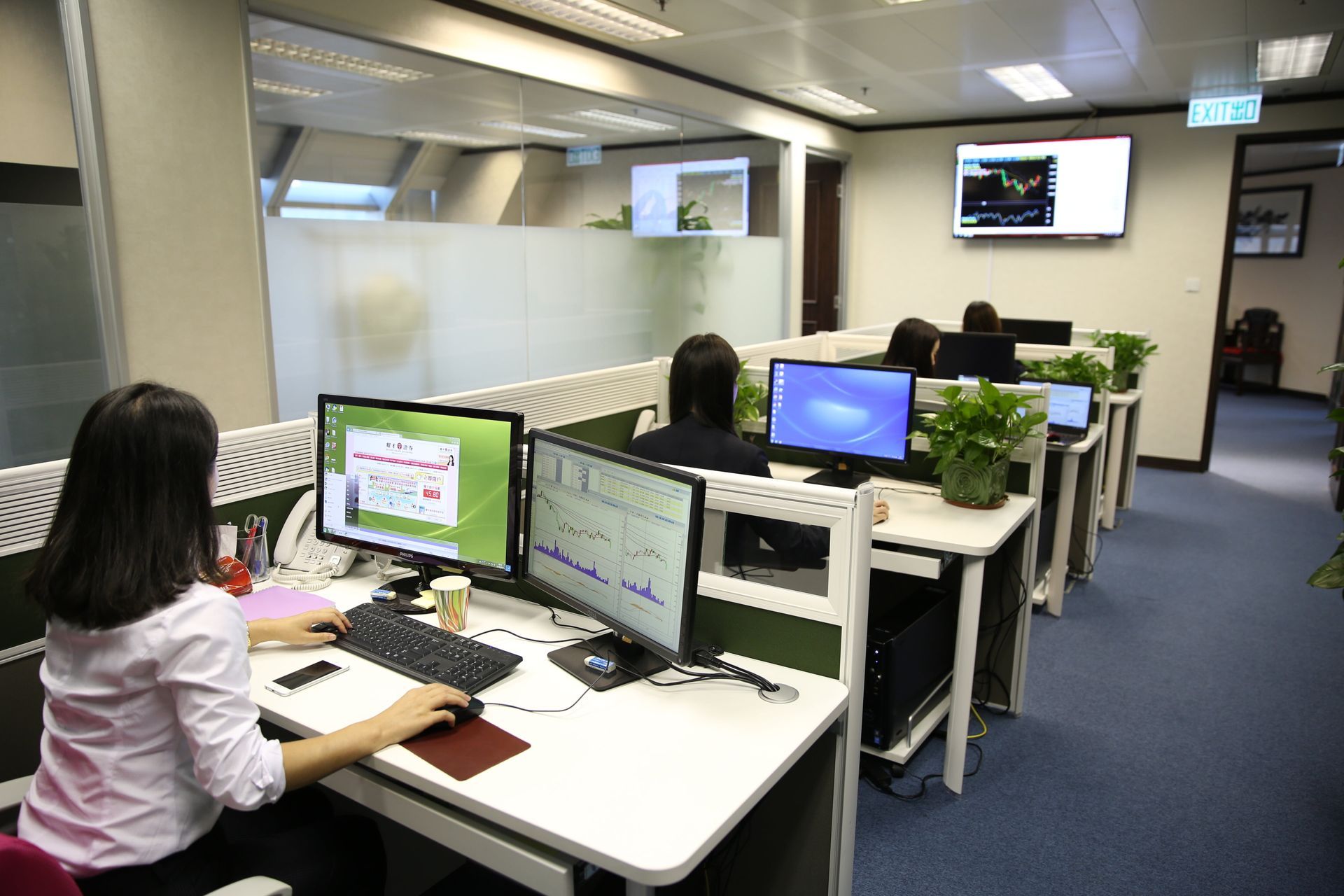 A woman is sitting at a desk in an office working on a computer.