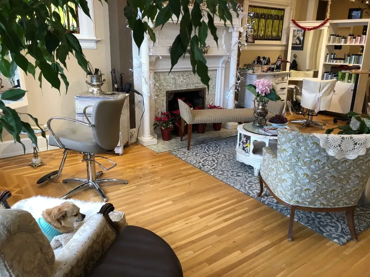 A dog is laying in a chair in a living room.