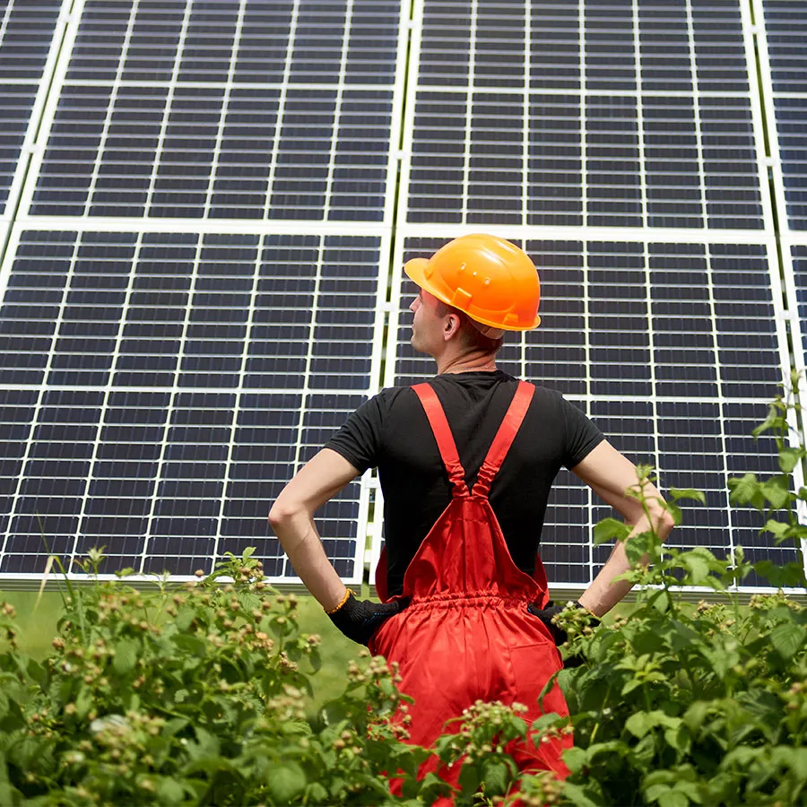 Woman Checking the Solar Panels
