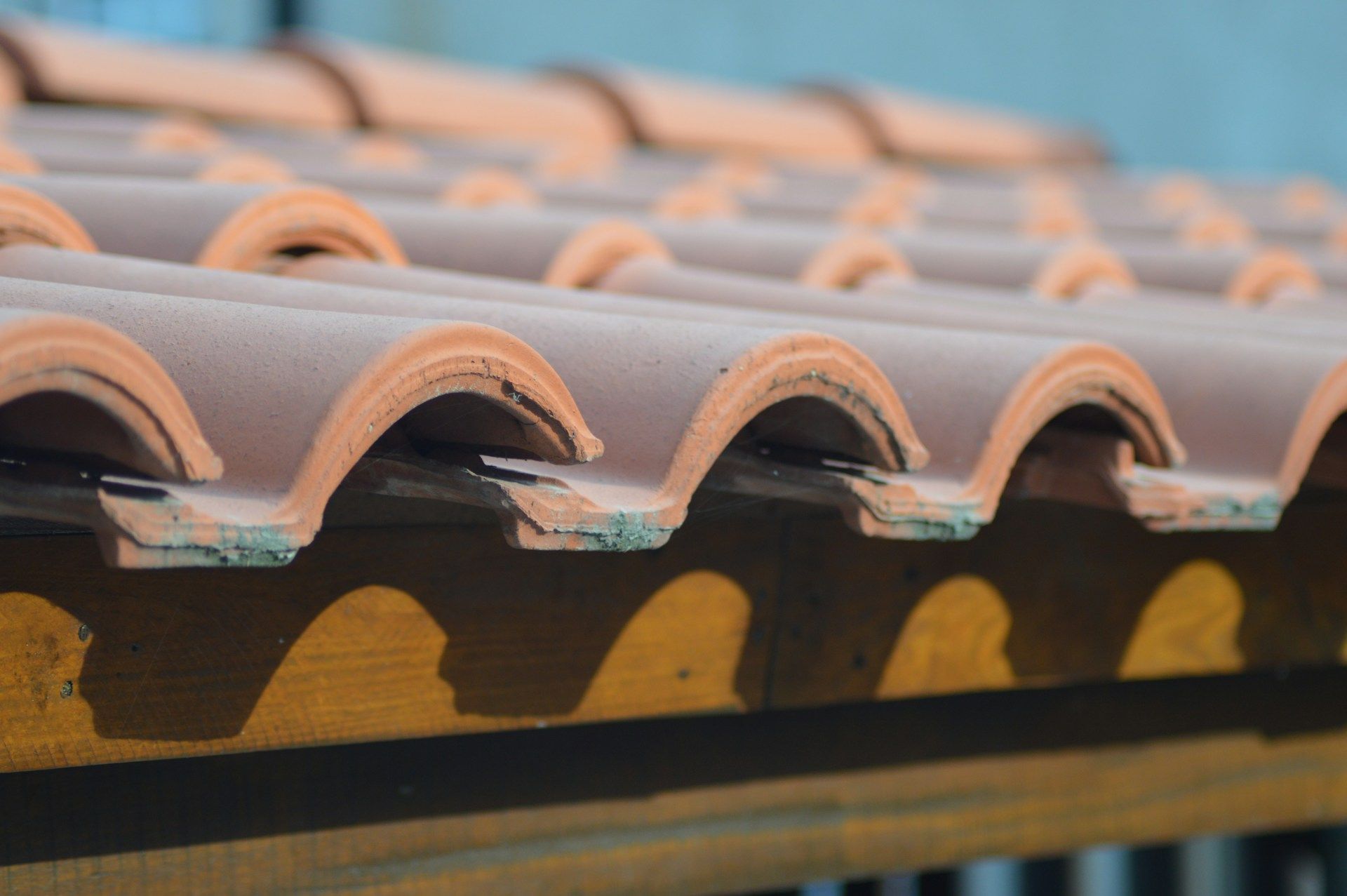 shingle roof