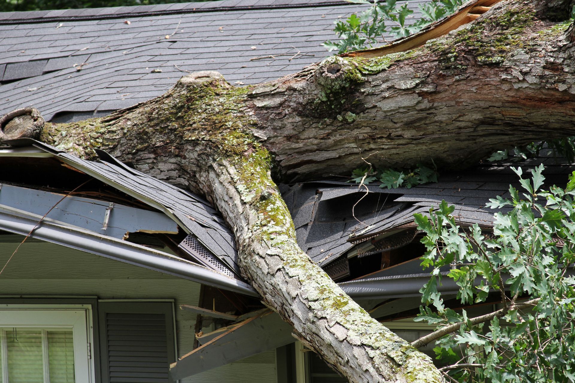 Protect Your Home from High Winds and Heavy Rain