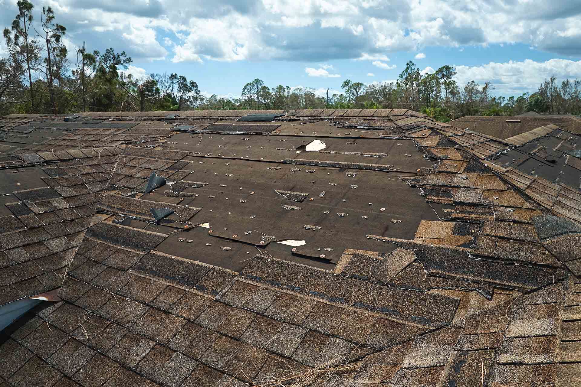 Best Storm Damage Restoration Services