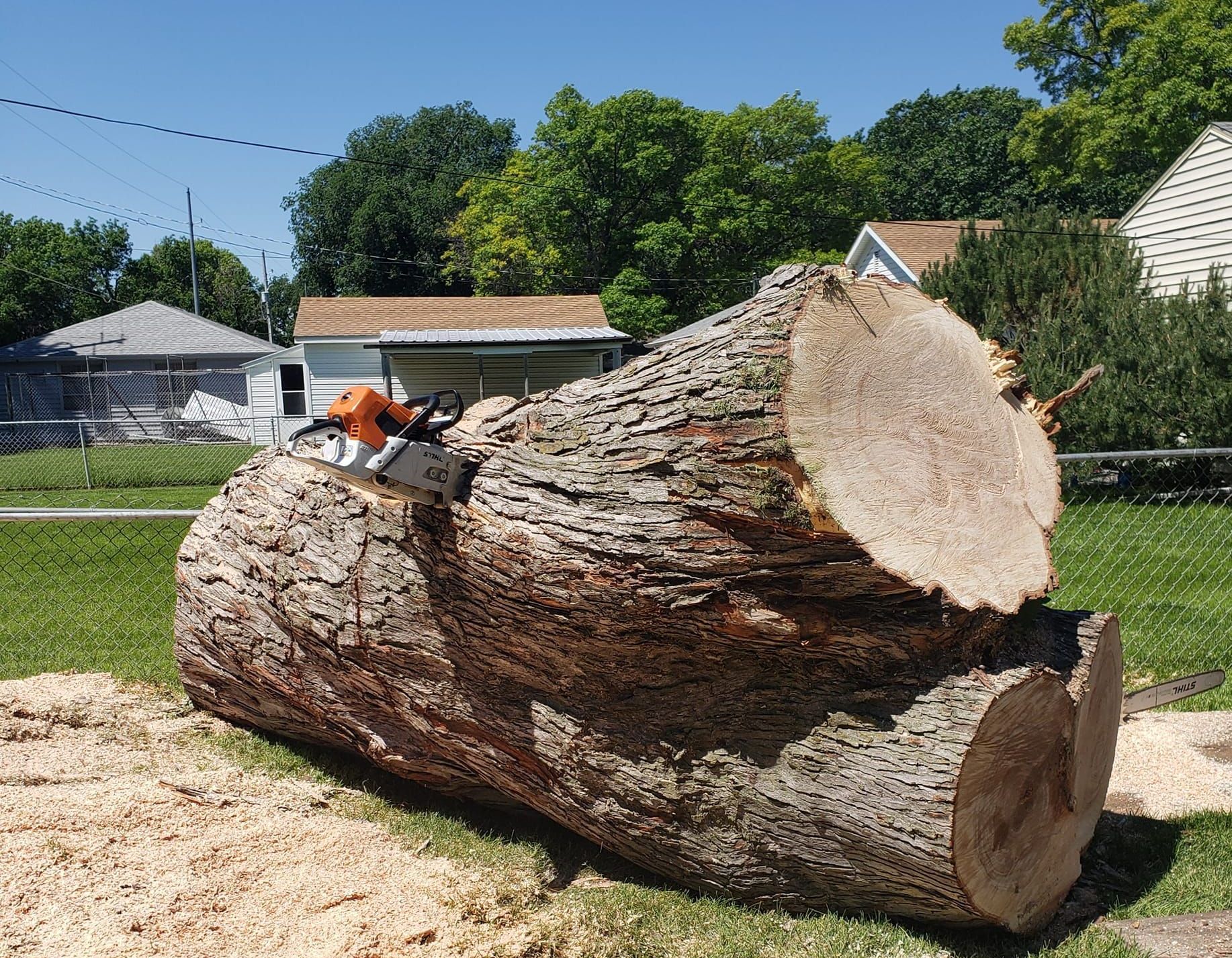 Fallen Tree In The Middle Of A Forest — Grand Isle, NE — Leetch Tree Services Fallen Tree In The Middle Of A Forest — Grand Isle, NE — Leetch Tree Services