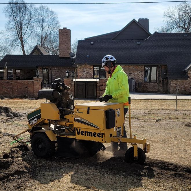 Tree And Stump Removal — Grand Island, NE — Leetch Tree Services
