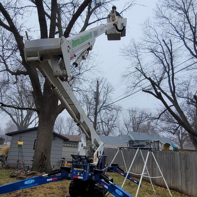 Tree Trimming And Pruning — Grand Isle, NE — Leetch Tree Services