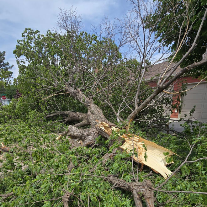 Emergency Storm Damage — Grand Island, NE — Leetch Tree Services