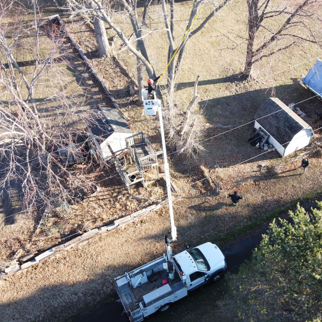 Cutting A Tree Branch — Grand Isle, NE — Leetch Tree Services
