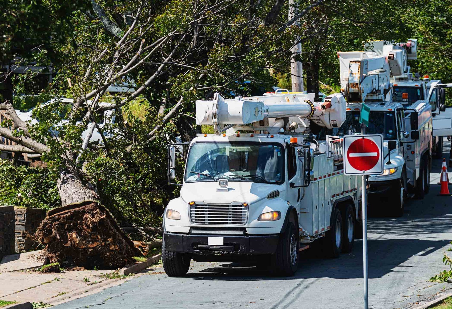 Man Is Cutting A Tree — Grand Isle, NE — Leetch Tree Services Man Is Cutting A Tree — Grand Isle, NE — Leetch Tree Services