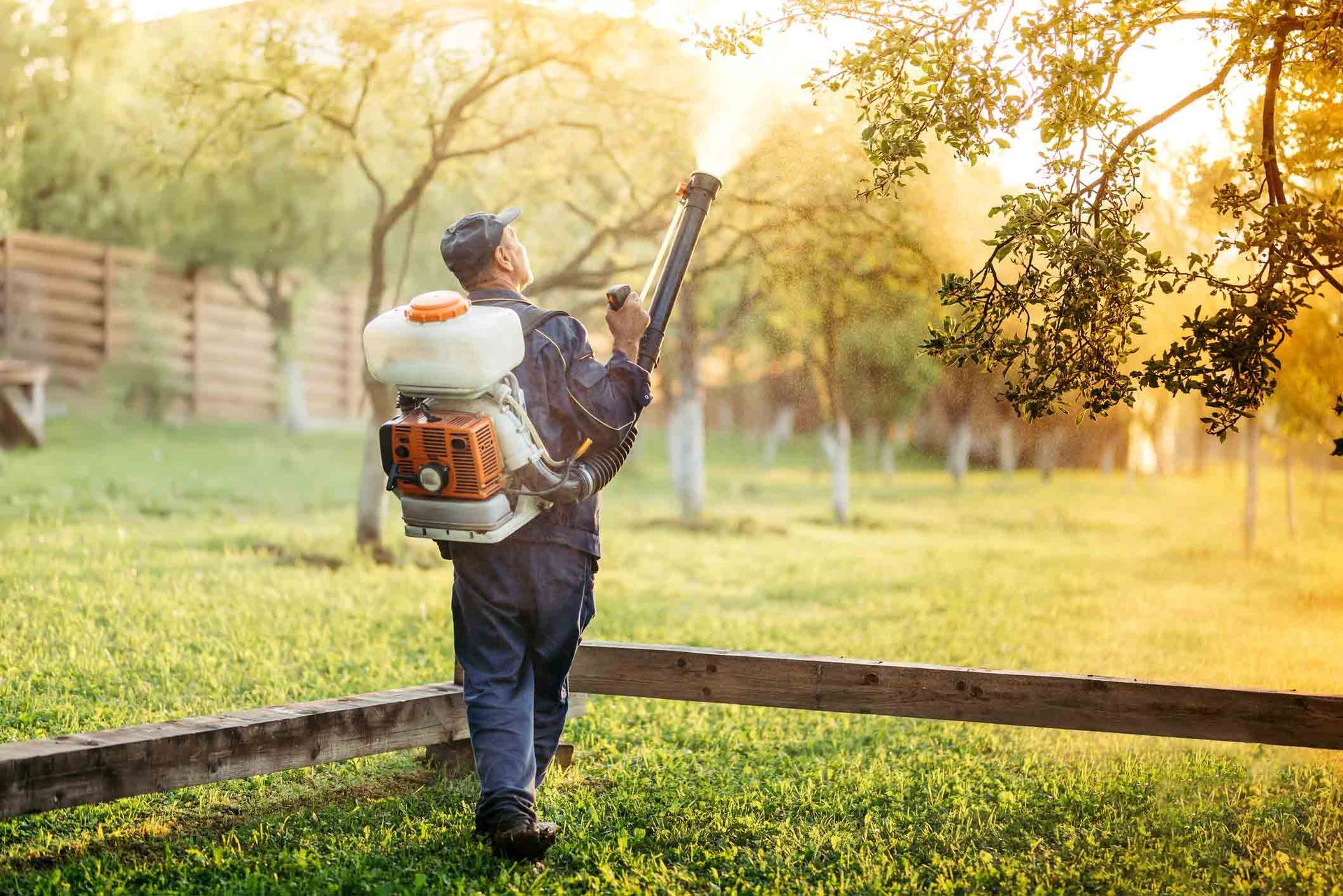 Man Is Spraying Trees — Grand Isle, NE — Leetch Tree Services Man Is Spraying Trees — Grand Isle, NE — Leetch Tree Services