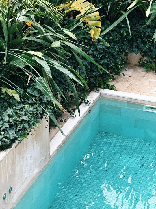 Turquoise pool beside lush tropical plants and a white stone walkway