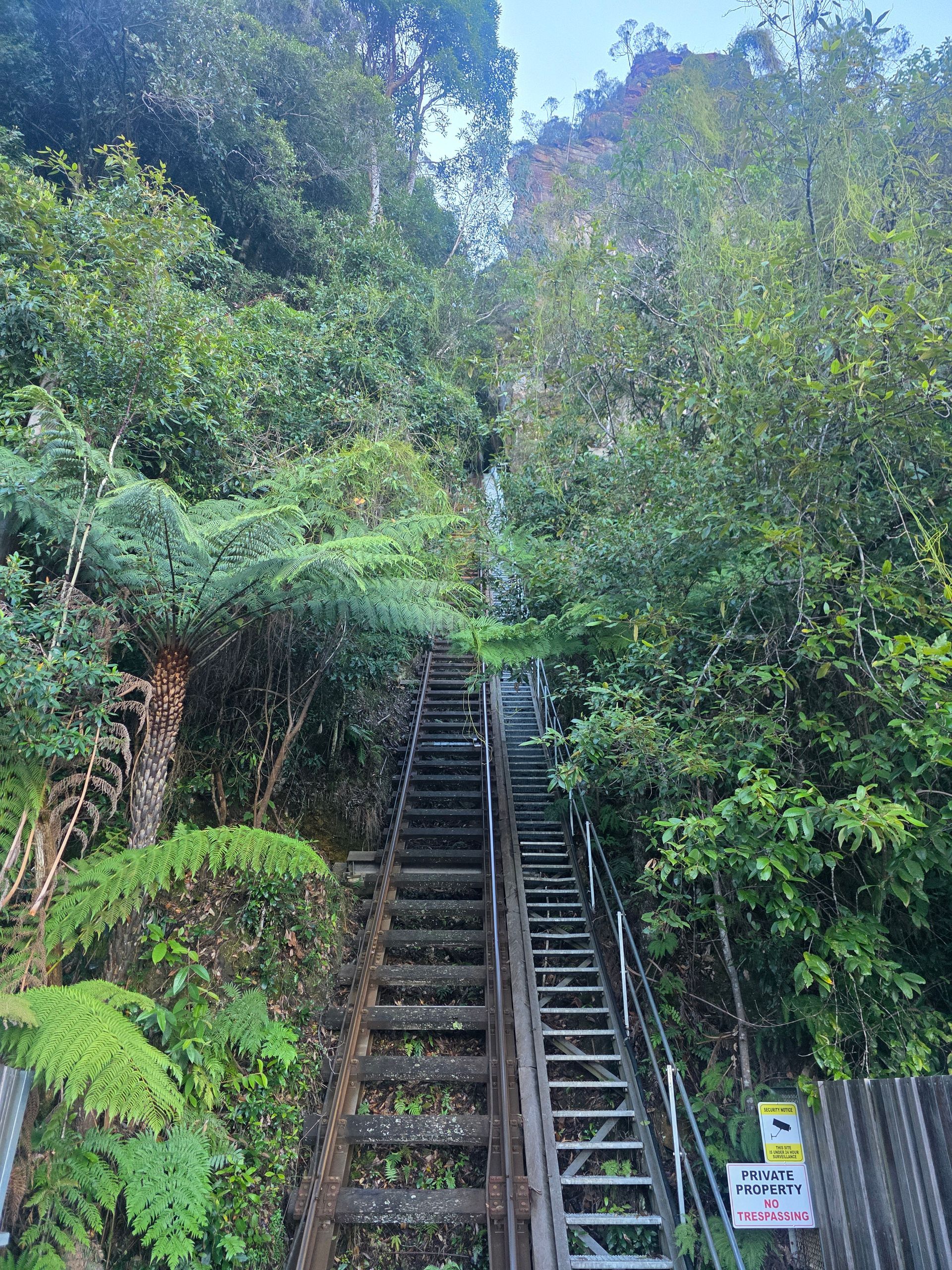 Steep outdoor staircase up a forested hillside with a metal ladder and warning sign on the right