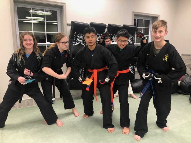 Action Karate Franchise