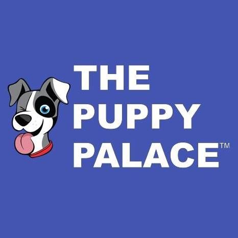 The Puppy Palace