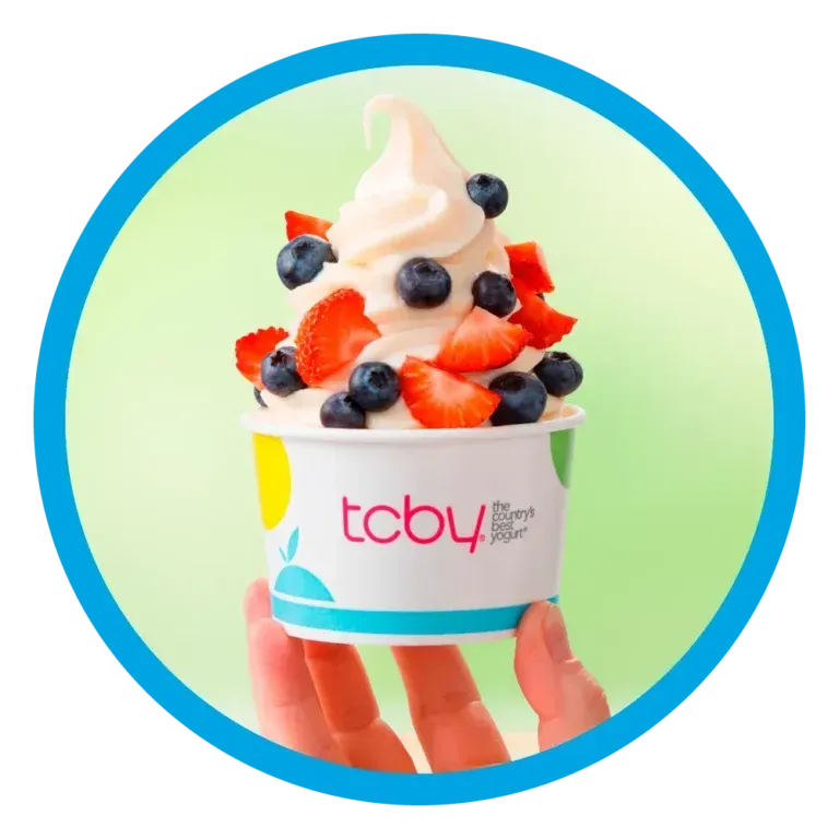 TCBY Frozen Yogurt Franchise