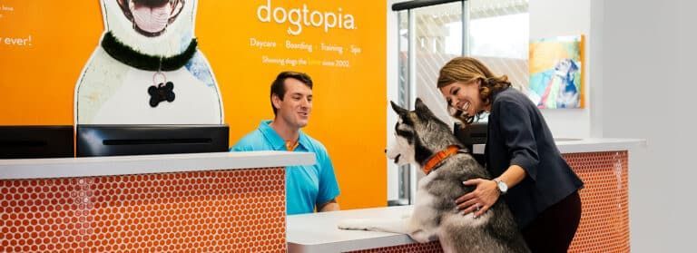 Dogtopia
