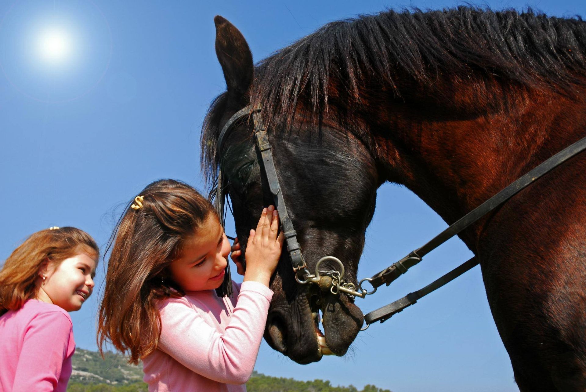 Girl petting a brown horse outdoors under a bright blue sky