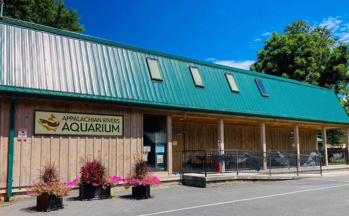 Aquarium building with teal roof, large windows, and flower planters along the street