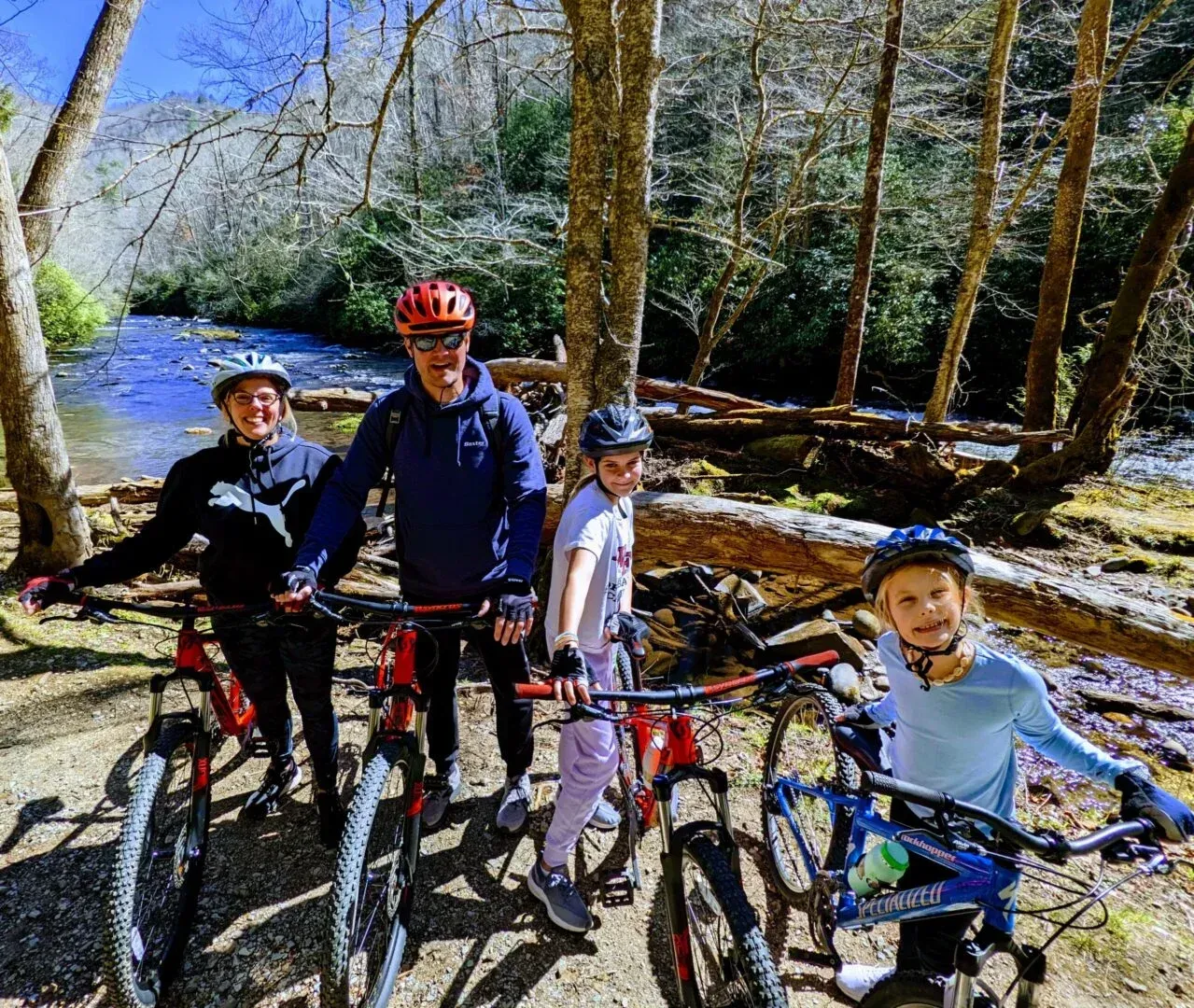 Four cyclists with mountain bikes on a wooded trail beside a stream on a sunny day