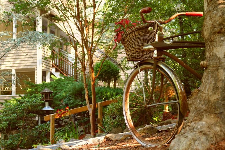 Vintage bicycle leaning against a tree in a sunlit garden near a house