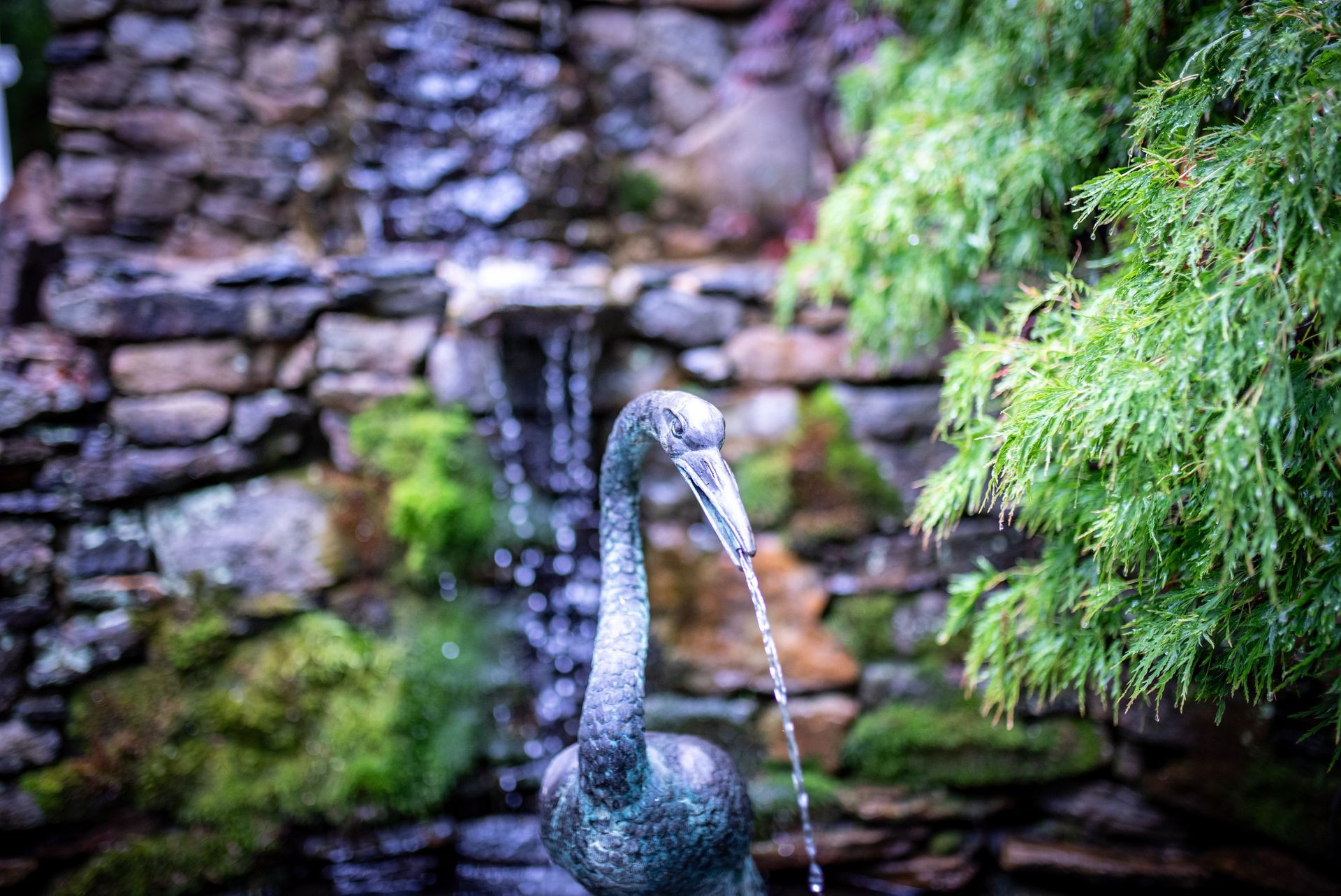 Stone bird fountain pouring water beside mossy rocks and green foliage