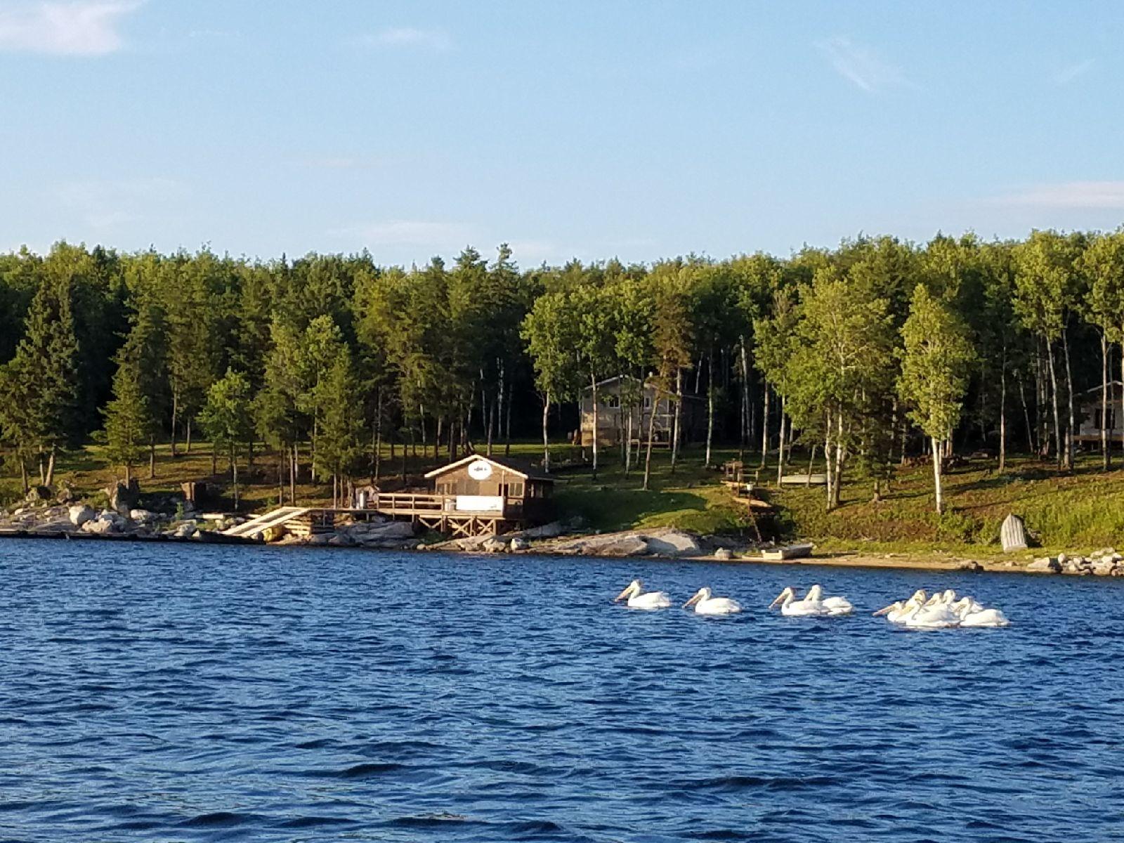 Last Resort, Grassy Narrows Lake Fishing Photos