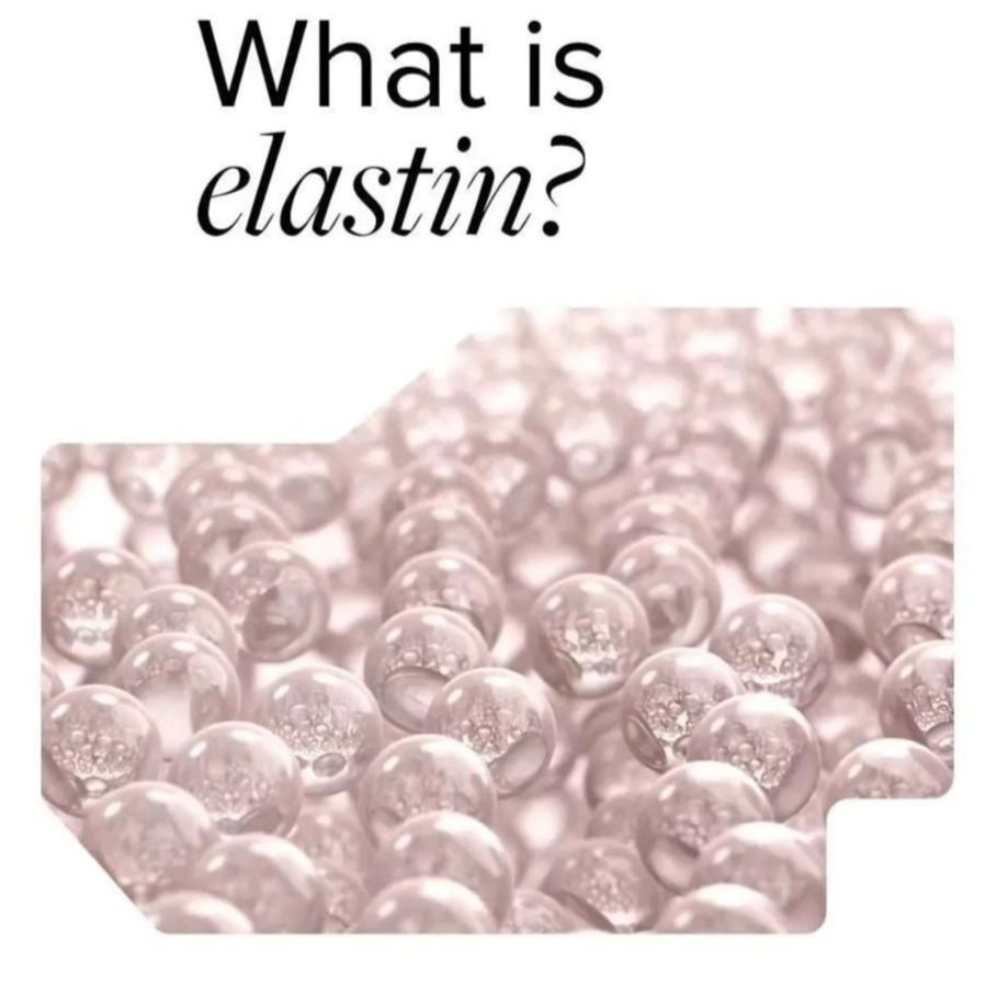 ELASTIN AND YOUR SKIN